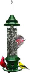 Brome Squirrel-proof Bird Feeder w/Cardinal Ring