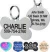 GoTags Stainless Steel Pet ID Tags (Dog Bone)