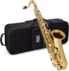 Jean Paul USA Student Tenor Saxophone TS-400 – Golden