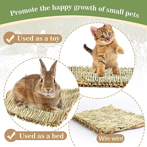 Sukh Rabbit Grass Mats - Natural Hay Woven - Image 5