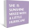 SRADMO Sunshine Mixed With Hurricane Boho Box Decor