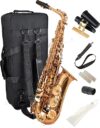 HERCHE Superior Alto Saxophone X3 | Professional