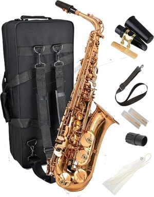 HERCHE Superior Alto Saxophone X3 | Professional