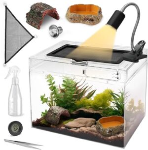 Terrariums & Enclosures
