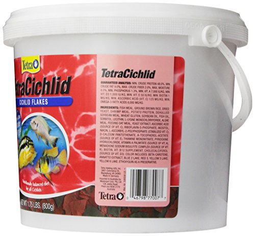 Tetra Cichlid Flakes 1.75 Pounds, Advanced Formula - Image 3