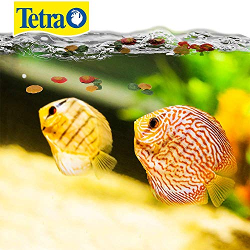 Tetra Tetra 77079 Color Crisps for Fishes - Image 3