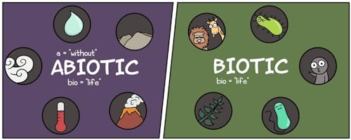 The Amoeba Sisters' Cartoon Guide To Biology By Sarina Peterson - Image 3
