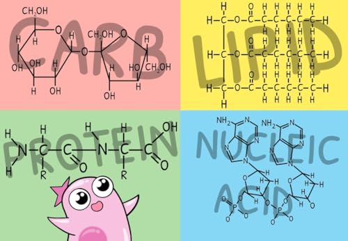 The Amoeba Sisters' Cartoon Guide To Biology By Sarina Peterson - Image 5