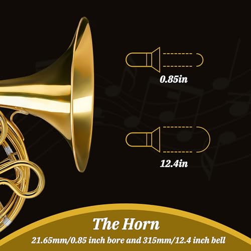TianChunyue Double French Horn F/Bb 4 Keys - Image 5