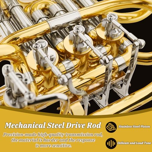 TianChunyue Double French Horn F/Bb 4 Keys - Image 3