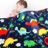 Lukeight Toddler Blanket, 380GSM, Plush Receiving Blanket, 30×40 Inches