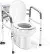 Medical king Toilet Safety Rail