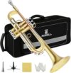 ROWELL Trumpet Set With Case And Kit (Antique Finished)
