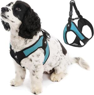 Gooby Turquoise X-Small Easy Fit Harness – No Pull
