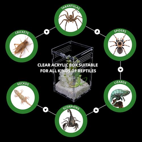 UCandy Micro Habitat Terrarium Enclosure (4x4x8 Inch) - Image 4