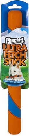 Chuckit! Ultra Fetch Stick Outdoor Dog Toy, 12 Inches