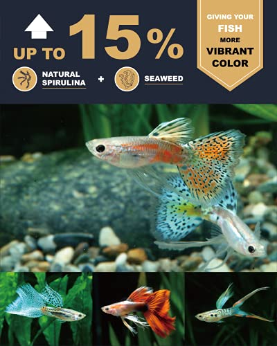 Ultra Fresh Royal Guppy Mignon Pellet, All Natural - Image 4