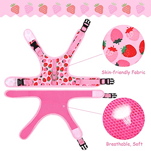 URATOT Cat Harness And Leash Set, X-Small - Image 5