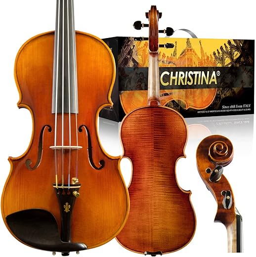 Christina V05C Full Size Handmade Professional Violin Kit