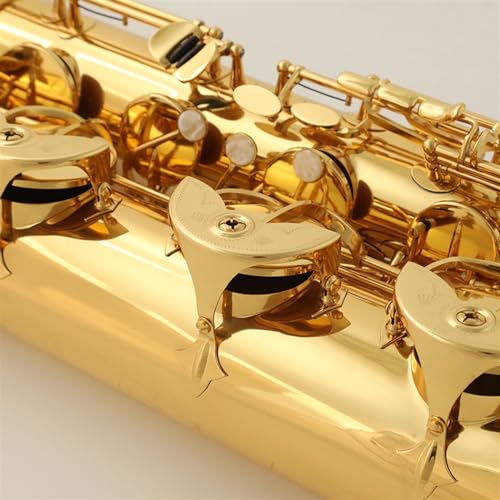 VBDEFRT Baritone Saxophone With Lacquered Surface - Image 2