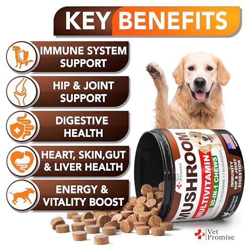 Vet Promise Mushroom Supplement - 170 Chews - Immunity Support - Image 3