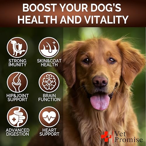 Vet Promise Mushroom Supplement - 170 Chews - Immunity Support - Image 4