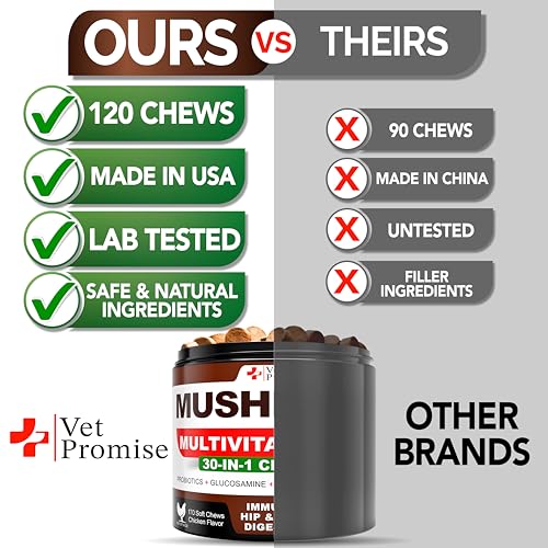 Vet Promise Mushroom Supplement - 170 Chews - Immunity Support - Image 5