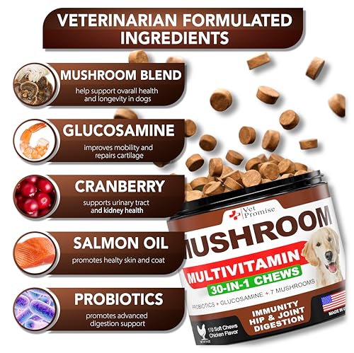 Vet Promise Mushroom Supplement - 170 Chews - Immunity Support - Image 2