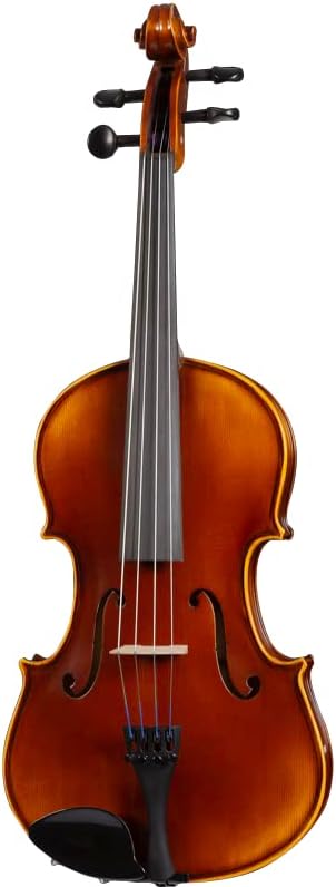 D Z Strad Viola Model 120 with Accessories (14")
