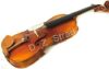 D Z Strad Viola Model N2011 With Bow, Case