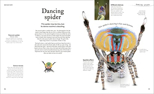 Weird And Wonderful Nature: Tales Of More Than 100 Unique Animals, Plants, And Phenomena (DK Treasures) - Image 5