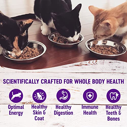Wellness Gravies Grain-Free Wet Cat Food, 3 oz Pouches - Image 4