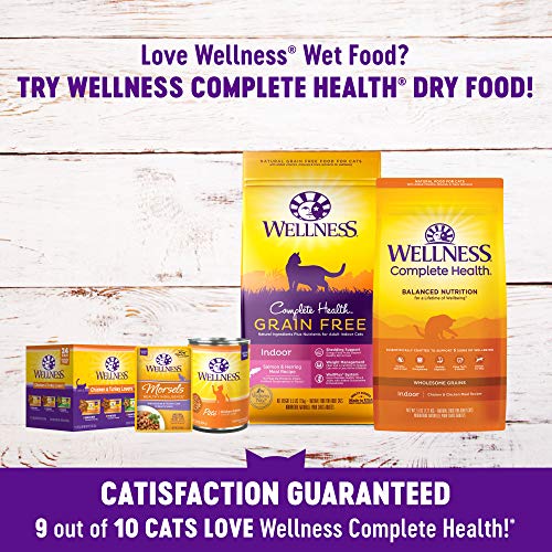 Wellness Gravies Grain-Free Wet Cat Food, 3 oz Pouches - Image 5