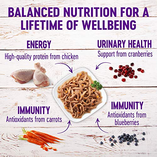 Wellness Healthy Indulgence Shreds Grain-Free Wet Cat Food - Image 3
