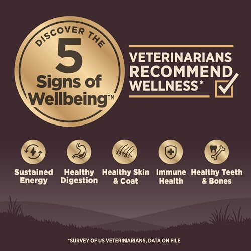 Wellness Natural Grain Free Small Breed Dog Food, 4-Pound - Image 2