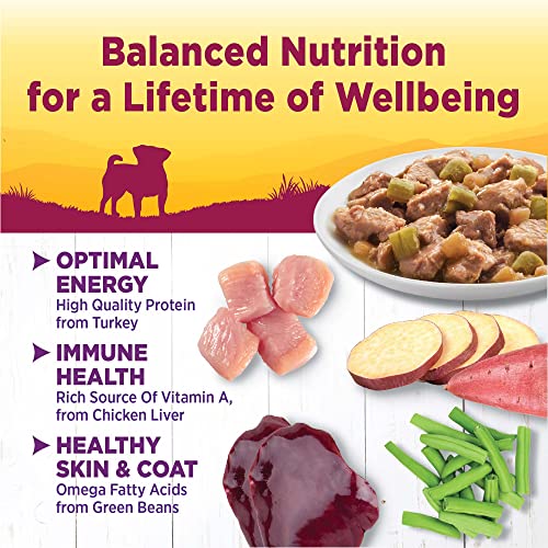 Wellness Petite Entrees Mini Fillets, Tender Turkey, 3-Ounce Cup (Pack Of 24) - Image 4