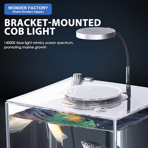 Wonderfactory 3 Gallon Aquarium AIO Starter Kit - Image 4