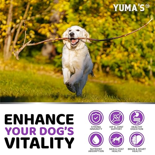 YUMA'S - Image 4