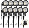 REEGOLD 10-Pack LED Outdoor Landscape Spotlights