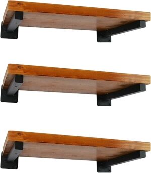 EZYDECOR 12 Inch Heavy Duty Black Shelf Brackets
