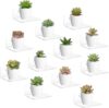 LASZOLA 12 Pack Small Acrylic Floating Wall Shelves