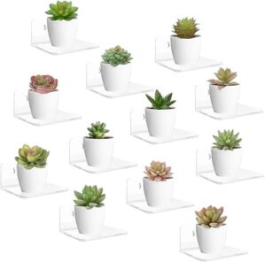 LASZOLA 12 Pack Small Acrylic Floating Wall Shelves