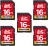 Gigastone 16GB SDHC Memory Cards With Cases