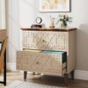 Tribesigns 2 Drawer Lateral File Cabinet