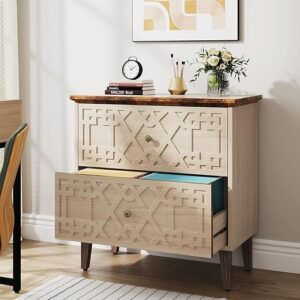 Tribesigns 2 Drawer Lateral File Cabinet