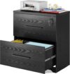 DEVAISE 2-Drawer Wood Lateral File Cabinet