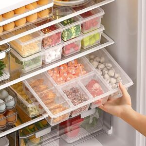 Taiuloo 2 Pack Divided Veggie Tray with Lid