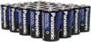 Panasonic 24 Pack Super Heavy Duty D Batteries