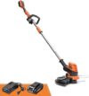 LawnMaster 24V 12″ Cordless String Trimmer With Battery