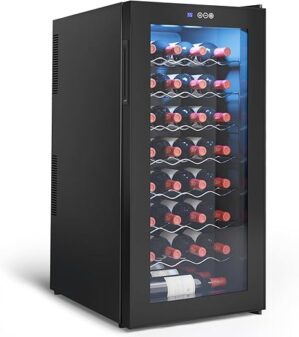 Kerilyn 32 Bottle Wine Fridge, 2.75Cu.Ft
